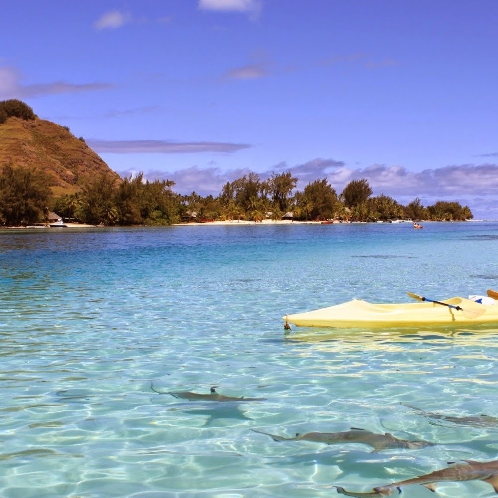 Meet your Posher, Veronica